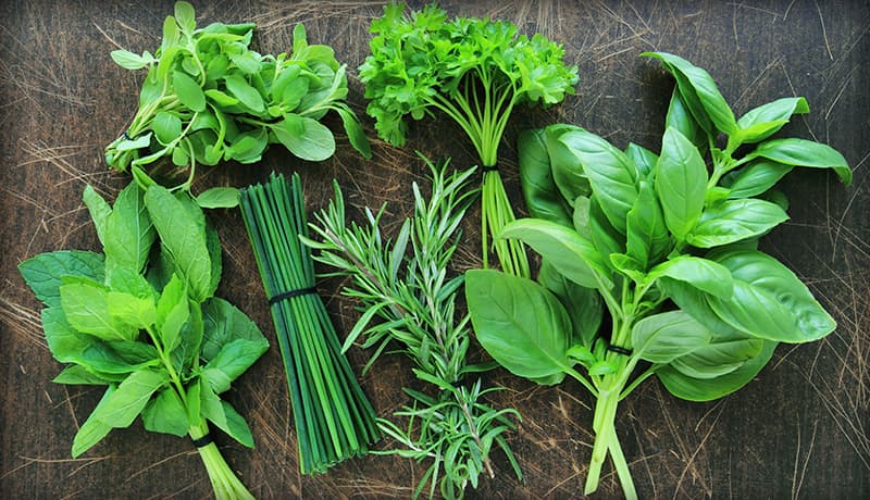 Herb Bundles