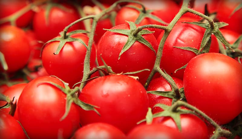 Tomatoe Fruit From Starts